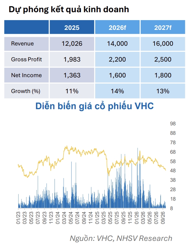 mot so co phieu can quan tam 7 10 co hoi tiem nang voi hdg va vhc hinh anh 2