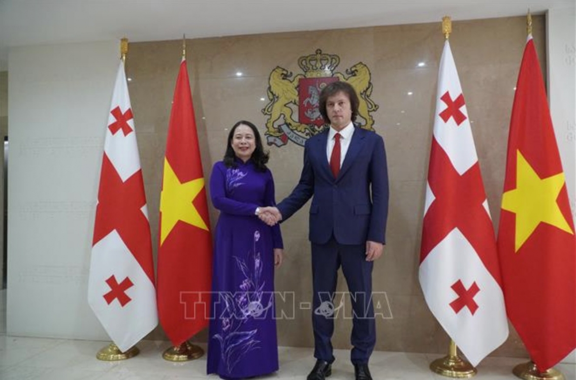 vice president vo thi anh xuan holds talks with georgian prime minister picture 1
