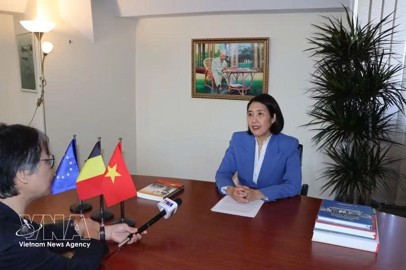 vietnam-eu, belgium ties poised for new heights picture 1