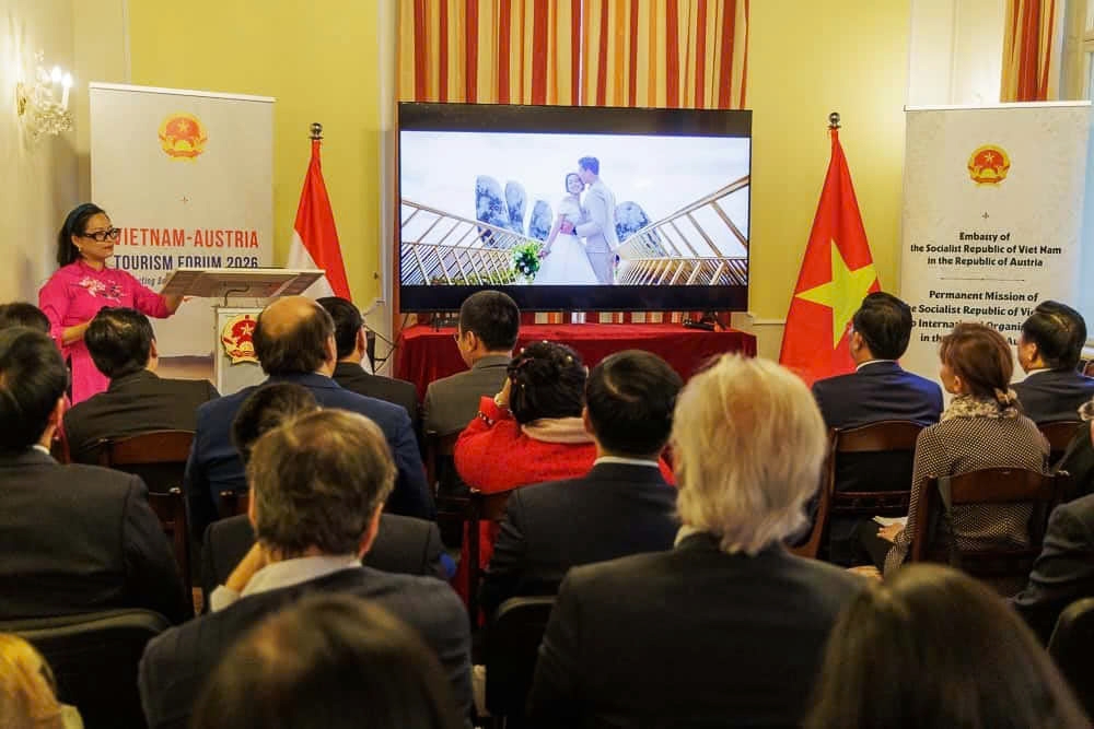 vietnam, austria boost tourism links and visitor exchanges picture 1
