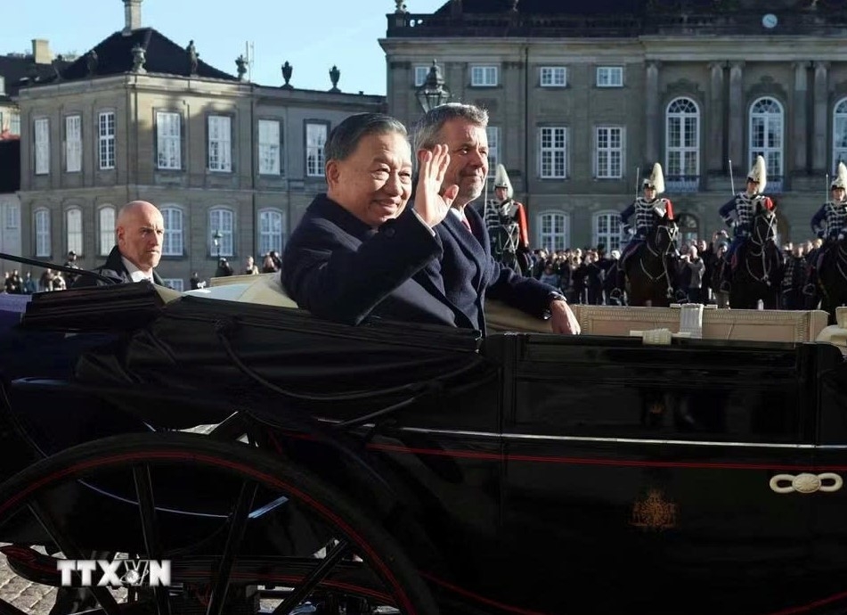 top leader to lam, danish king laud growing vietnam-denmark relations picture 2