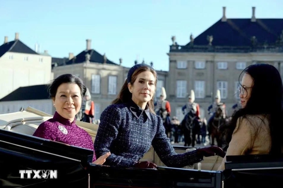 vietnamese top leader to lam and spouse meet with king and queen of denmark picture 3