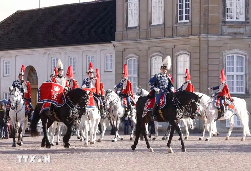 vietnamese top leader to lam and spouse meet with king and queen of denmark picture 6