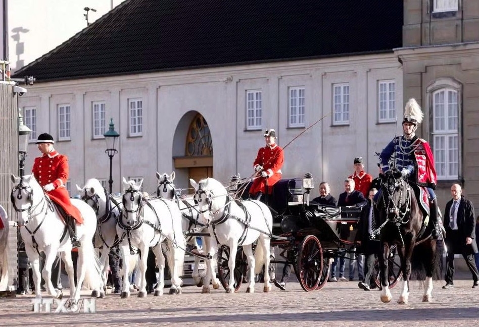 vietnamese top leader to lam and spouse meet with king and queen of denmark picture 7