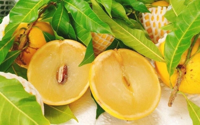 vu sua hoang kim co gi dac biet, an thuong xuyen co tot cho suc khoe hinh anh 1