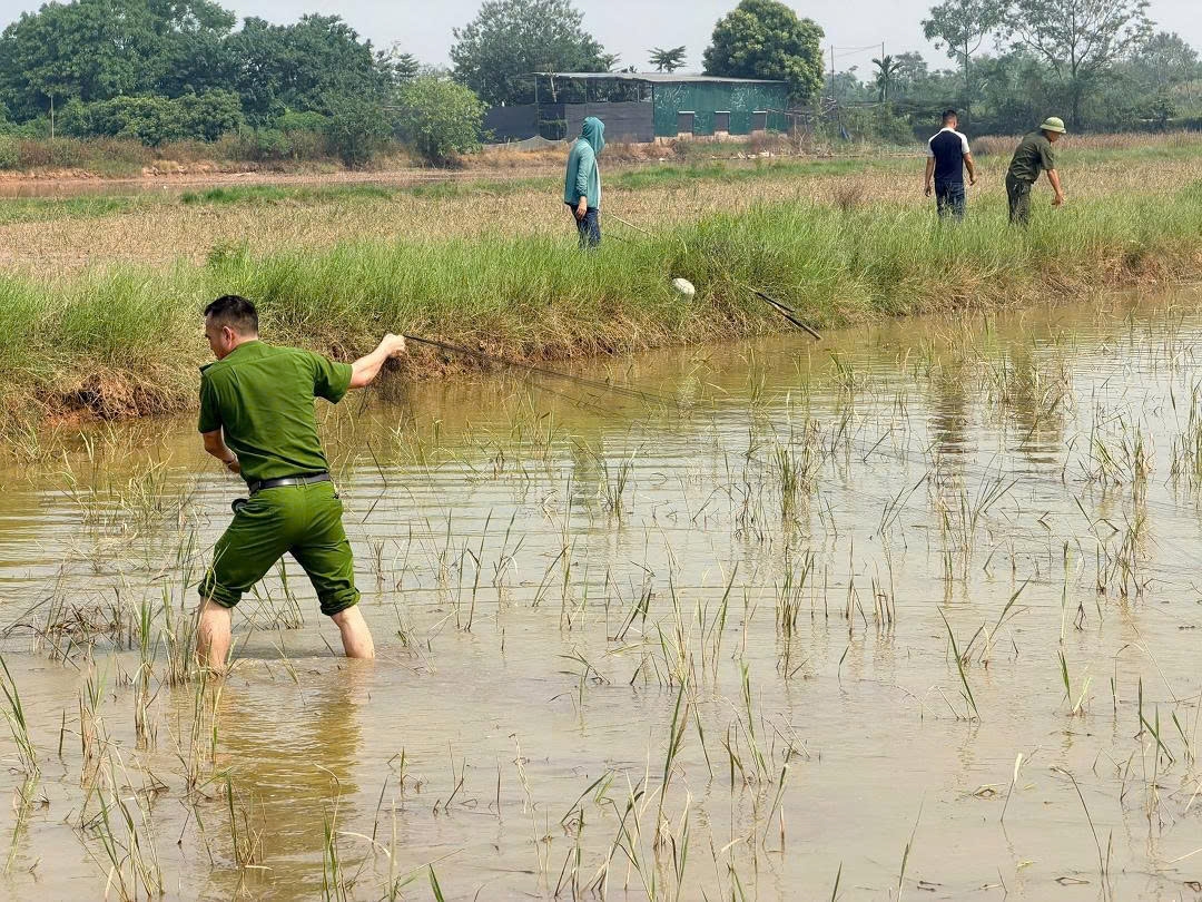xac minh doi tuong bay chim hoang da tai xa kieu phu, ha noi hinh anh 2