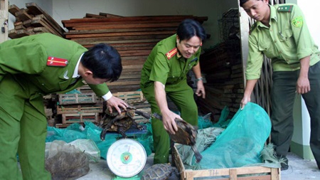 Vietnam, African nations target wildlife trade