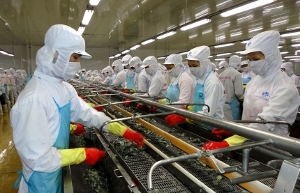 Minh Phu Corp reveals ambitious plans upon return to stock exchange