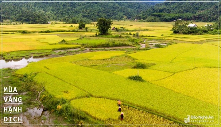 Top ten destinations in Nghe An during autumn season