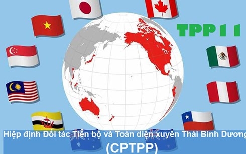 CPTPP brings Vietnam direct economic benefits