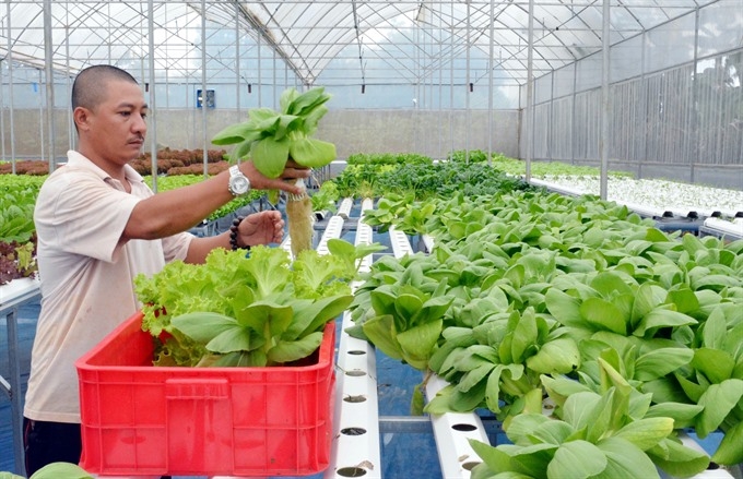 High-tech farming development sluggish