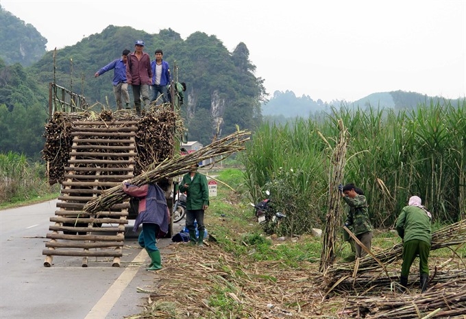 ATIGA regulation worries local sugar manufacturers