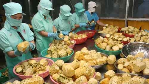 Export growth 50% of target
