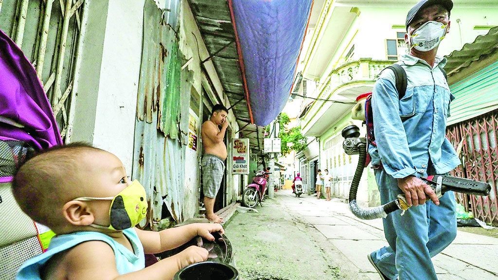 Hanoi, Ho Chi Minh City battle dengue fever