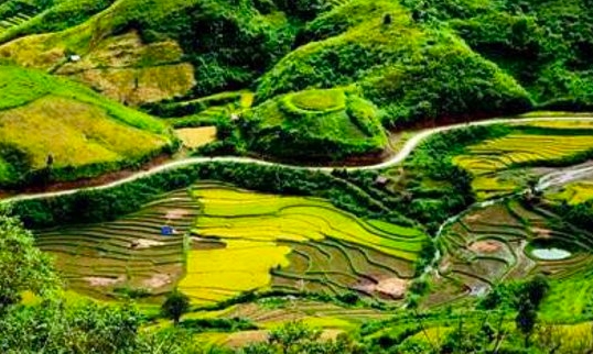 Exploring Sin Suoi Ho village in Lai Chau province