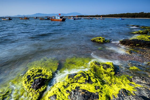 Discovering Ban Than reef in Tam Hai island