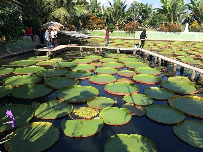 King Lotus Pagoda, top destination in western region