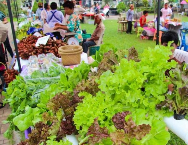 Pracharat markets to be developed as central markets for farm products