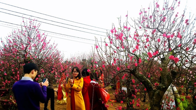 Best views in Hanoi for photos during Lunar New Year festival