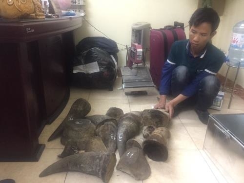 Vietnam busts major wildlife trafficking ring