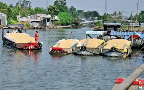 Targeting Chinese market, rice exporters earn modest profits