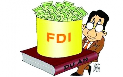 FDI by sector and challenges: garnering interest