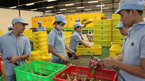 Vietnam exports more processed products to the US