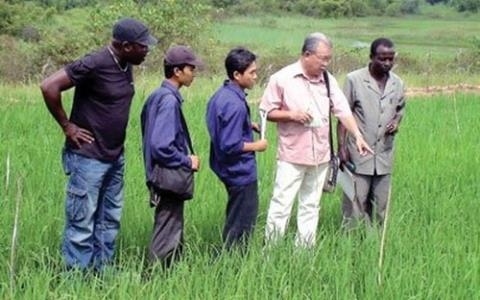 Vietnam warned it may yield to Myanmar in exporting rice