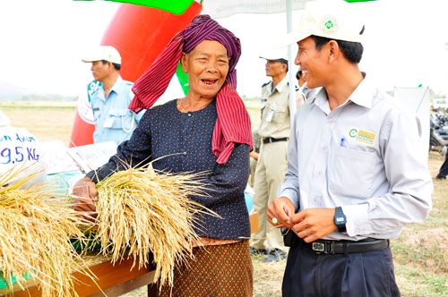 Vietnamese go abroad to breed cows, grow rice