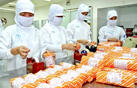 Food processing industry in Mekong Delta still not attracting investors