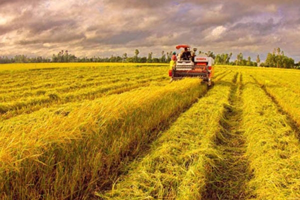 Agriculture sector expects further investments with slashed policies