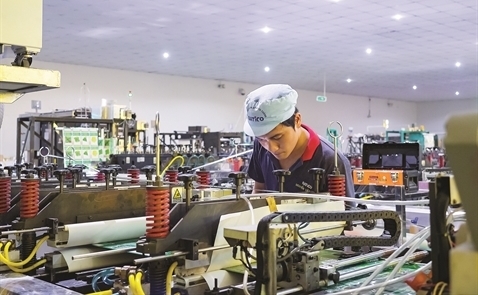 Vietnam has too many “key” industries: economists