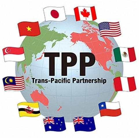 What benefits will Vietnam get from TPP without the US?