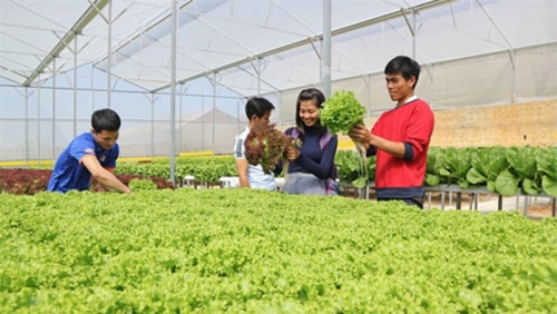 Agri-tourism: a new dish in Vietnam’s tourism feast