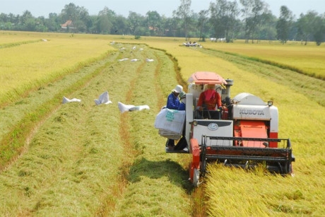 Mekong Delta faces big challenges: Climate change, hydropower plants