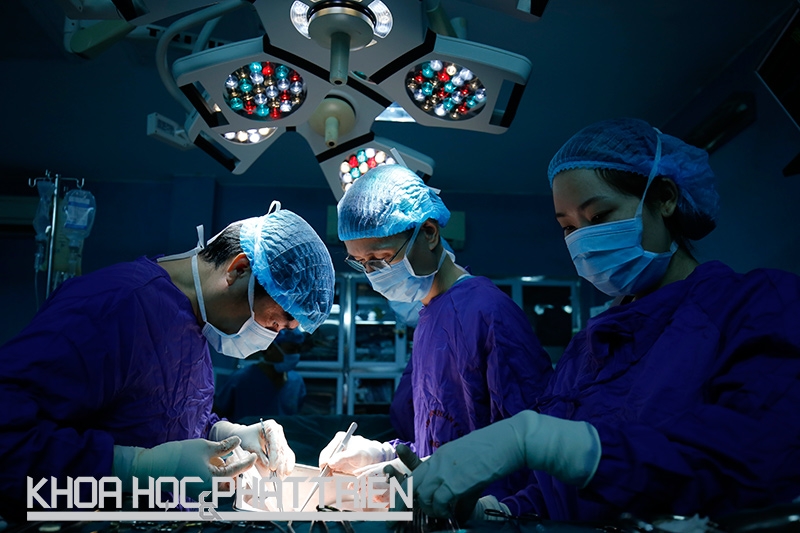 Organ transplantation technology needs new policy