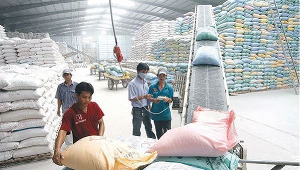 Rice demand from China declines, causing concern among farmers