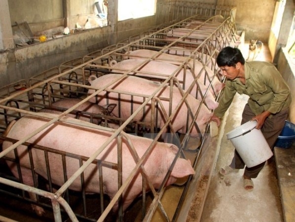 Links key for animal husbandry