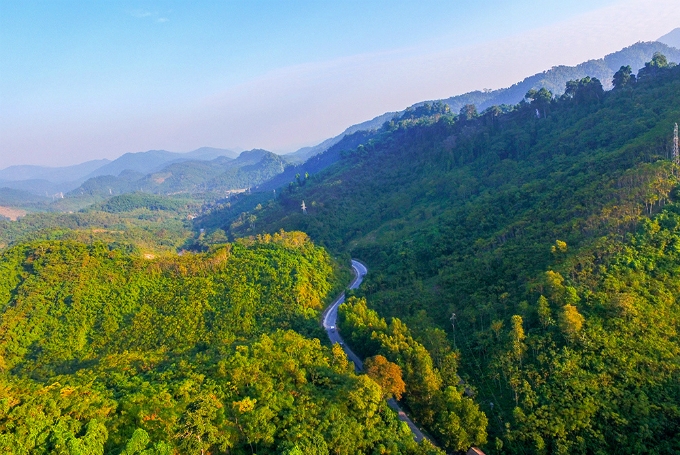 Treasured trees revered in Central Vietnam