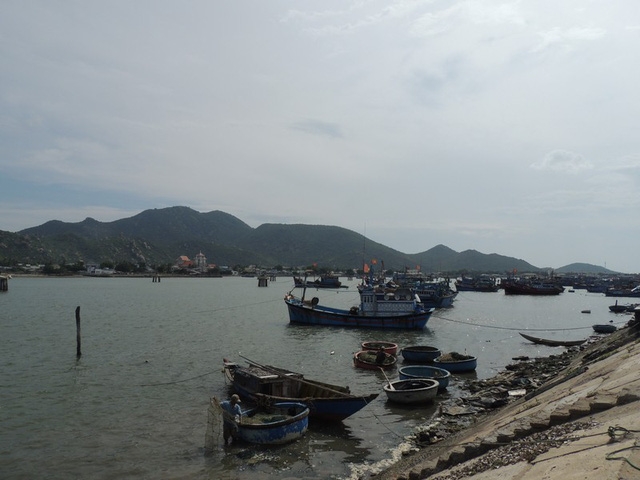 Nai market in Ninh Thuan proves a hit with foreign tourists