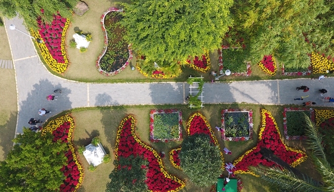 Brilliant flower displays herald arrival of spring in Ecopark