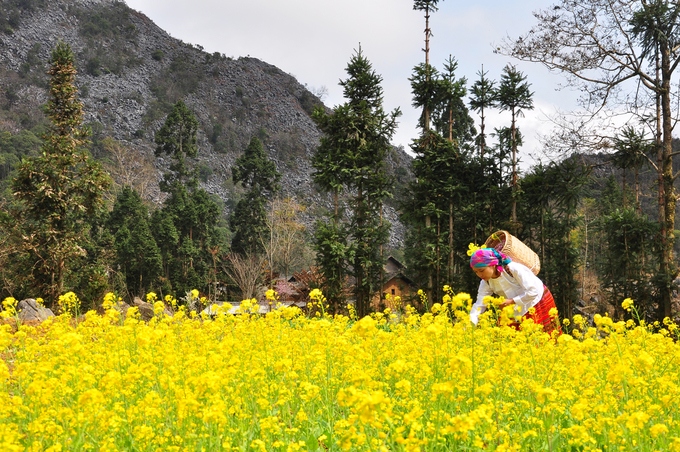 Top 10 places in Dong Van Karst Plateau for photo hunters