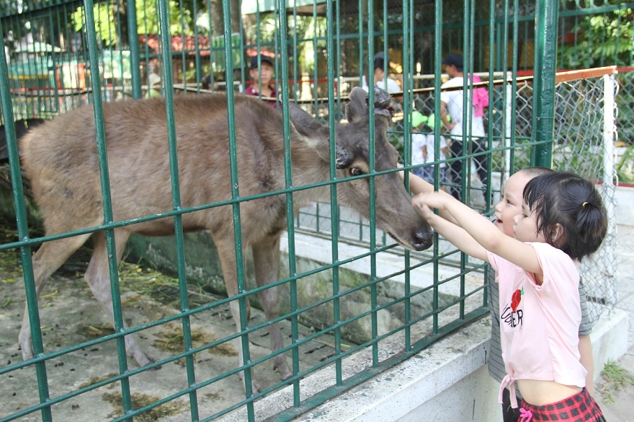 Da Nang park seeks permission to shut down zoo