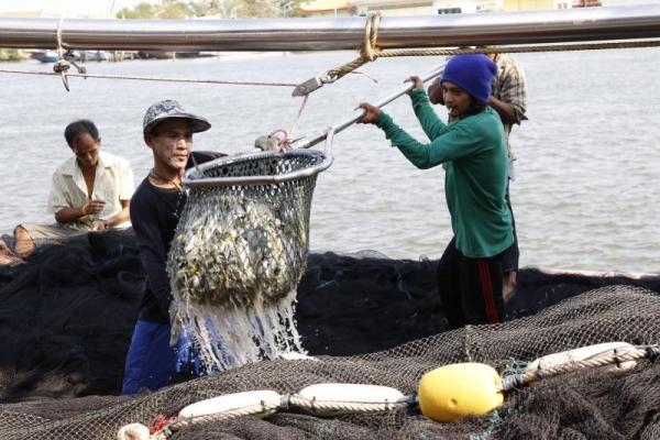 Migrant workers in fisheries sector allowed to renew their work permits