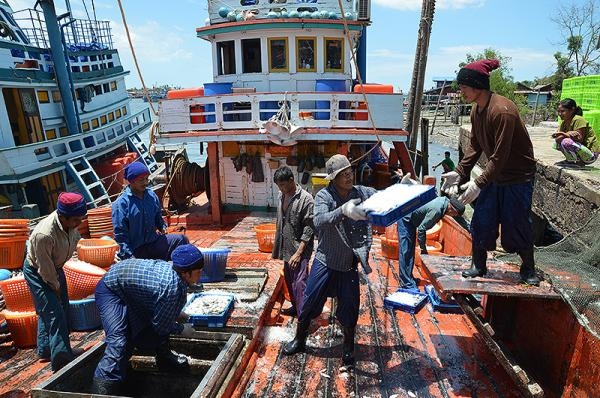 Moving toward IUU-Free Thailand