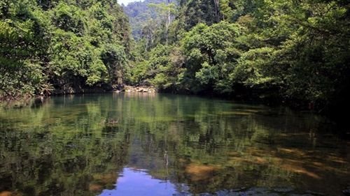 A green valley of serenity in northern Vietnam