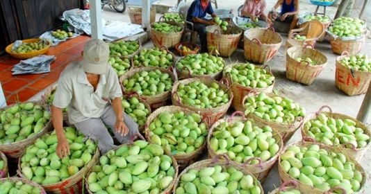 Vietnam focuses on fruit exports for higher value