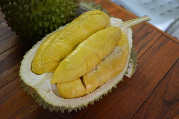 Yala Durian City