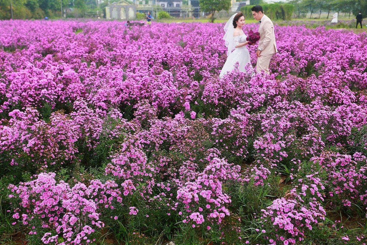 Top check-in points in Hanoi during November