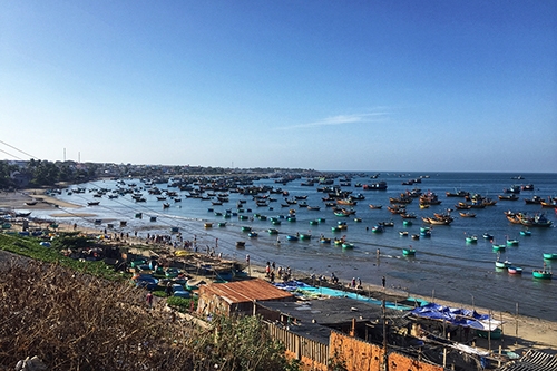 Top 5 summer activities for visitors to Phan Thiet-Mui Ne